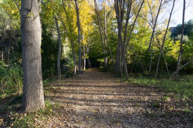 Barranc de l 'Encantada, İspanya' nın Alicia eyaletinde yer alan doğal park. Görünüm
