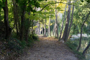 Barranc de l 'Encantada, İspanya' nın Alicia eyaletinde yer alan doğal park. Görünüm