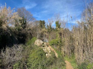 ANNA 'nın üç şelalesinin rotası, İspanya' nın Valencia eyaletinde yer almaktadır. Görünüm