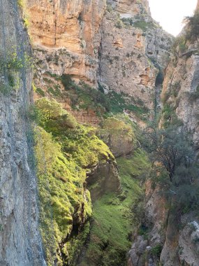 İspanya 'da kayaların, dağların ve birçok bitkinin bulunduğu nehir boyunca bir yürüyüş yolu manzarası. Yönlendirme