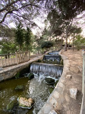 İspanya 'nın Alicante kentinde yer alan Guardamar del Segura' daki Reina Sofya doğal parkında kuğular ve şelaleler. Görünüm