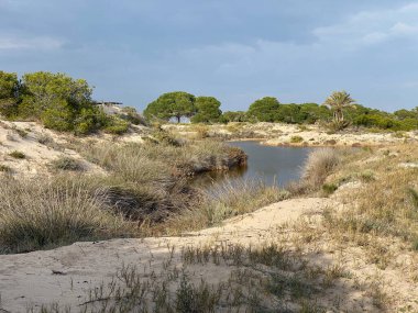 Salinas Del Pinet doğal parkı, Alicante, İspanya. Görünüm