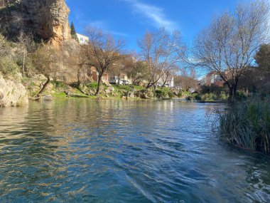 Albufera de Anna 'daki ördekler, İspanya' nın Valensiyalı bölgesinde. Görünüm