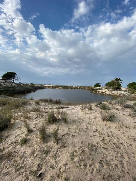 Parco Naturale Salinas Del Pinet Situato Alicante Spagna Vista — Foto Stock