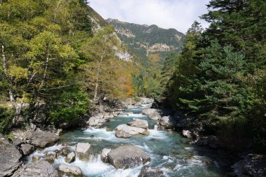 İspanya 'nın Huesca kentindeki Aragonese Pireneleri' ndeki Bujaruelo Vadisi 'nden geçerken Ara Nehri' nin manzarası. görünüm