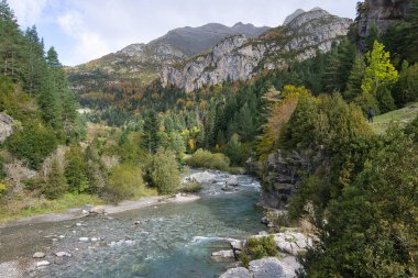 İspanya 'nın Huesca kentindeki Aragonese Pireneleri' ndeki Bujaruelo Vadisi 'nden geçerken Ara Nehri' nin manzarası. görünüm