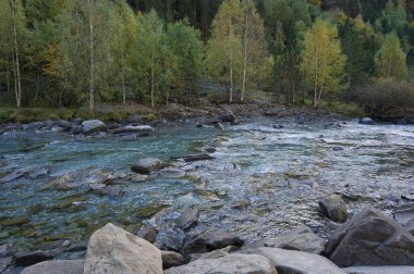 İspanya 'nın Huesca kentinde bulunan Aragonese Pireneleri' ndeki Ordesa y Monte Perdido Ulusal Parkı 'ndaki Arazas nehrinin kıyısında. Görünüm