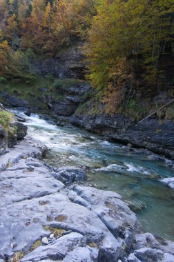 İspanya 'nın Huesca kentinde bulunan Aragonese Pireneleri' ndeki Ordesa y Monte Perdido Ulusal Parkı 'ndaki Arazas nehrinin kıyısında. Görünüm