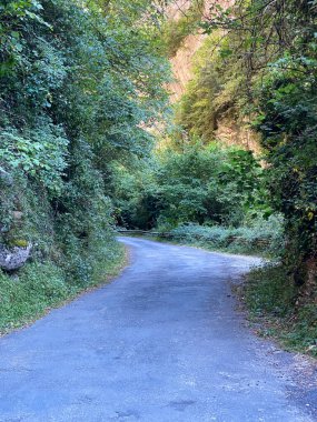 Ordesa y Monte Perdido ulusal parkında, Aragonese Pireneleri 'nde, Huesca, İspanya' da. görünüm