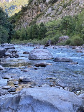 İspanya 'nın Huesca kentinde bulunan Aragonese Pireneleri' ndeki Ara Nehri 'nde akıntılar. görünüm