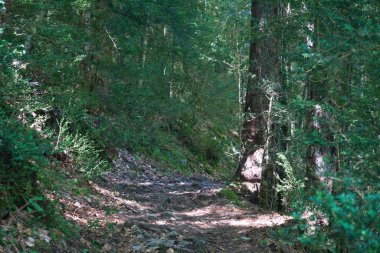 Ordesa y Monte Perdido ulusal parkında, Aragonese Pireneleri 'nde, Huesca, İspanya' da. görünüm