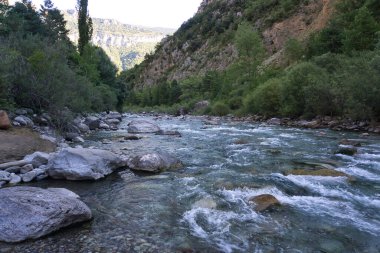 İspanya 'nın Huesca kentinde bulunan Aragonese Pireneleri' ndeki Ara Nehri 'nde akıntılar. görünüm