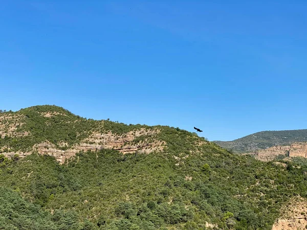 Vistas Del Barranco Peonera Los Pirineos Aragoneses Huesca España Paisaje —  Fotos de Stock