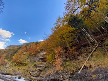 Ordesa y Monte Perdido Ulusal Parkı 'ndaki dağların, ormanların, şelalelerin ve doğal havuzların manzarası. İspanya 'nın Huesca eyaletinde. manzara