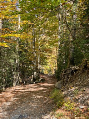 Ordesa y Monte Perdido Ulusal Parkı 'ndaki dağların, ormanların, şelalelerin ve doğal havuzların manzarası. İspanya 'nın Huesca eyaletinde. manzara