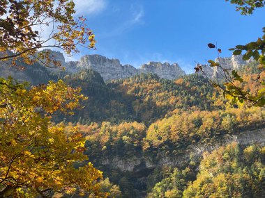 Ordesa y Monte Perdido Ulusal Parkı 'ndaki dağların, ormanların, şelalelerin ve doğal havuzların manzarası. İspanya 'nın Huesca eyaletinde. manzara