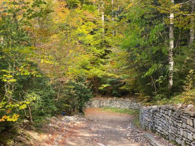 Ordesa y Monte Perdido Ulusal Parkı 'ndaki dağların, ormanların, şelalelerin ve doğal havuzların manzarası. İspanya 'nın Huesca eyaletinde. manzara
