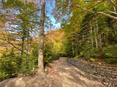 Ordesa y Monte Perdido Ulusal Parkı 'ndaki dağların, ormanların, şelalelerin ve doğal havuzların manzarası. İspanya 'nın Huesca eyaletinde. manzara
