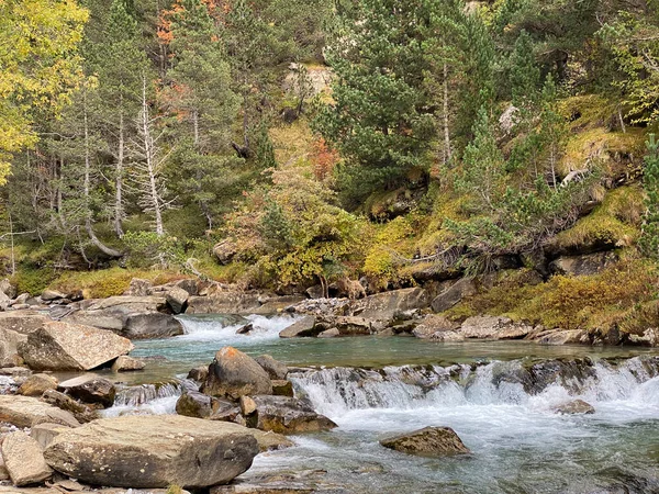 Ordesa Monte Perdido Ulusal Parkı Ndaki Dağların Ormanların Şelalelerin Doğal — Stok fotoğraf