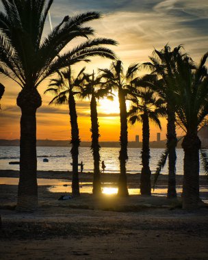 Alicante sahilinde güzel bir günbatımı, Valensiyalı topluluğunda, İspanya. görünüm