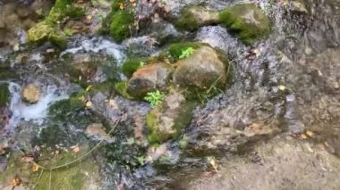 Cerezuelo nehrinde taşların arasında suyun hareketi. Cazorla