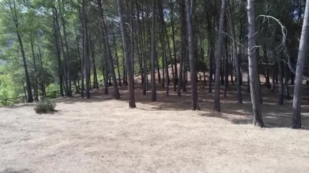 Floresta Reservatório Tranco Visto Drone Localizado Parque Natural Das Sierras — Vídeo de Stock