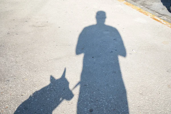 shadow of a person and a dog. view