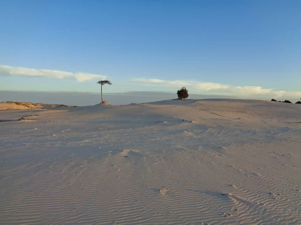 Dunas Areia Praia Cidade José Ignacio Uruguai Vista — Fotografia de Stock