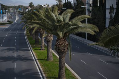 Alicante şehrinde, Valensiyalı cemaatinde, İspanya. görünüm