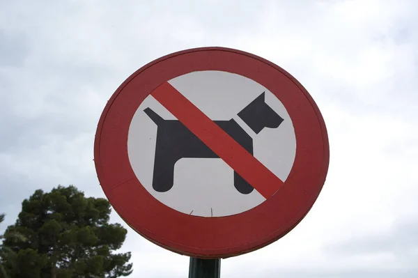 no dogs allowed circular sign. view