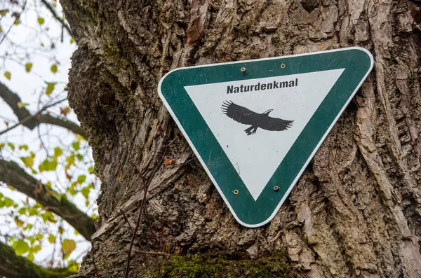 Πινακίδα Την Επιγραφή Φυσικό Μνημείο Στη Γερμανική Γλώσσα Υψηλής Ποιότητας — Φωτογραφία Αρχείου