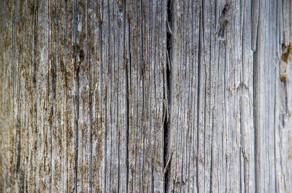 Вуден Фон Текстура Старого Смачиваемого Дерева Высокое Качество Фото — стоковое фото