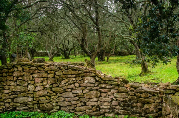 Viejo Muro Piedra Natural Sobre Fondo Verde Foto Alta Calidad — Foto de Stock
