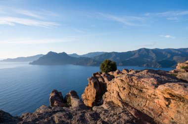 Önünde kırmızı kayalar olan Porto Körfezi 'nin panoramik manzarası, Korsika. Yüksek kalite fotoğraf. Karakter ve harfler için Boşluğu Kopyala.