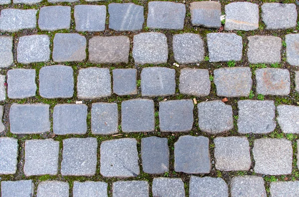 Pedras de paralelepípedos como textura ou fundo — Fotografia de Stock