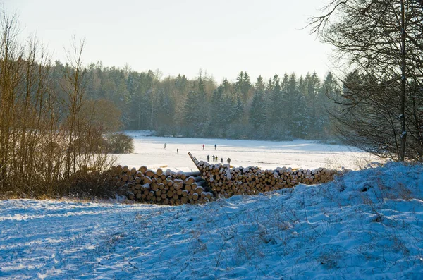 Napfényes téli táj fa rúddal az előtérben és néhány ember a távolban — Stock Fotó