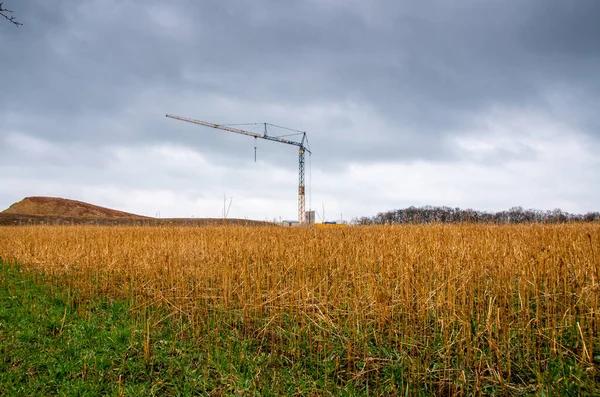 Kırsal kesimde bulutlu gökyüzünün önünde turna
