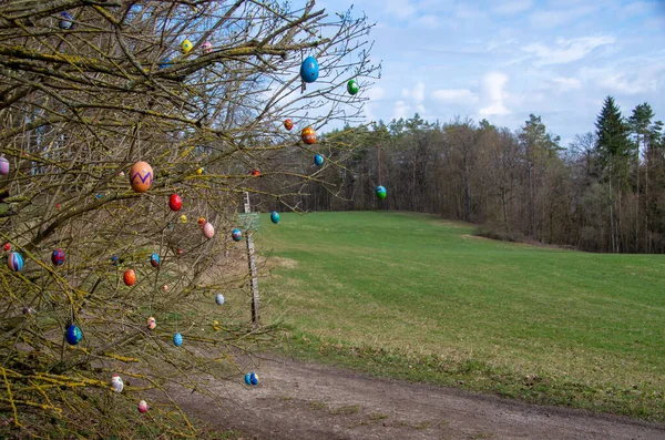 Renkli Paskalya yumurtaları Franconian İsviçre, Almanya 'da bir çalıda asılı.