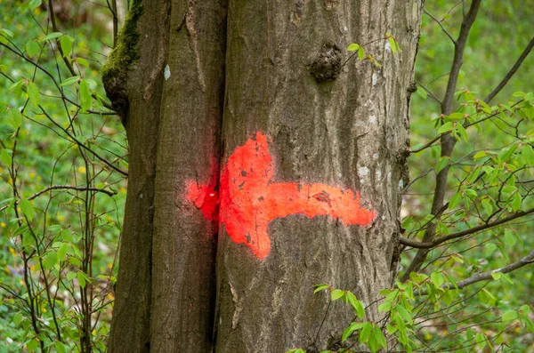 红箭画在树皮上 免版税图库照片
