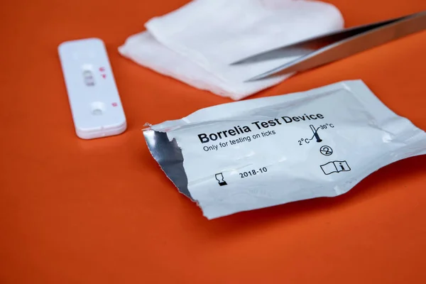 Turuncu bir masada cımbızla pozitif Borrelia Testi. Kene ısırığı için resmi kabul et