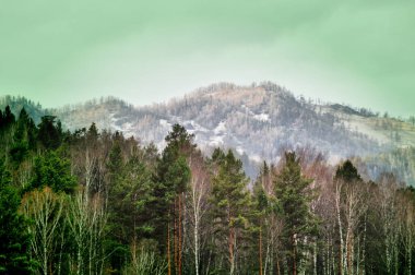 Altai dağları helikopter penceresinden ormanla kaplı.