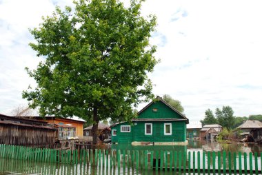 Barnaul, Rusya-22 Haziran 2020. Altai Bölgesi 'ndeki Ob Nehri' nde sel