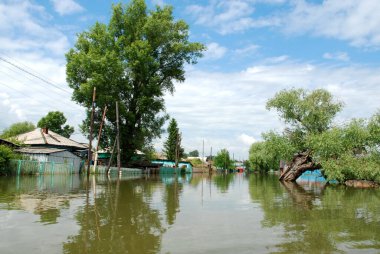 Barnaul, Rusya-22 Haziran 2020. Altai Bölgesi 'ndeki Ob Nehri' nde sel