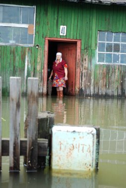 Barnaul, Rusya-22 Haziran 2020. Altai Bölgesi 'ndeki Ob Nehri' nde sel