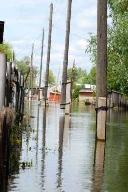 Barnaul, Rusya-22 Haziran 2020. Altai Bölgesi 'ndeki Ob Nehri' nde sel