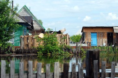 Barnaul, Rusya-22 Haziran 2020. Altai Bölgesi 'ndeki Ob Nehri' nde sel