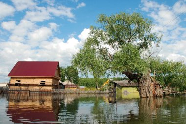 Barnaul, Rusya-22 Haziran 2020. Altai Bölgesi 'ndeki Ob Nehri' nde sel