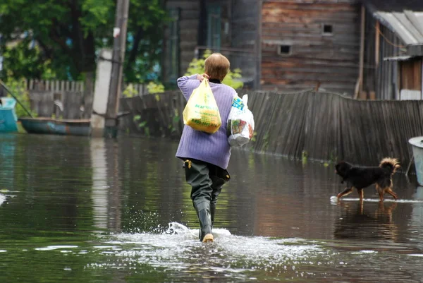 Barnaul Russia June 2020 Flood River Altai Territory — Stock Photo, Image