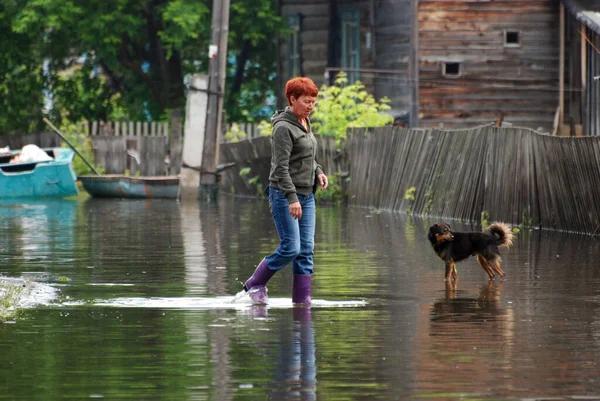 Barnaul Rússia Junho 2020 Inundação Rio Território Altai — Fotografia de Stock