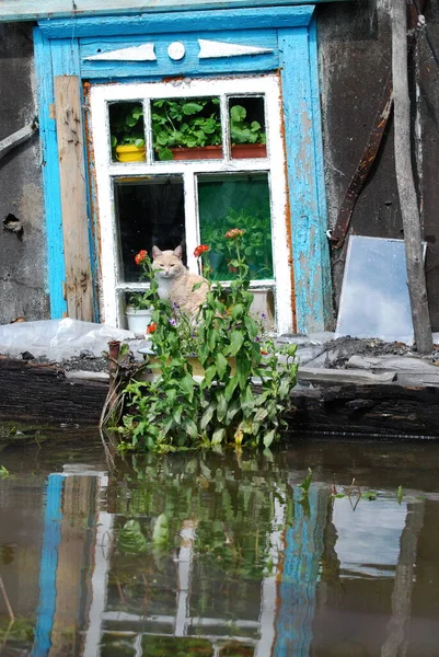 Barnaul Russia June 2020 준주의 강에서의 — 스톡 사진